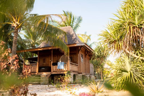Exterior de Cabañas Roqui rodeada de naturaleza